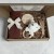 Photoroom_20260328_000000.JPG