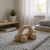 Photoroom_20250630_193017.png